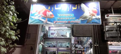 عکس فروشگاه اکواریوم ستاره