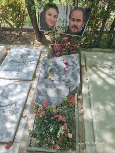 عکس مزار رضا داوود نژاد