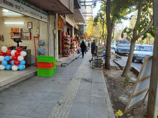 عکس مرغ و ماهی فروشی زرین 