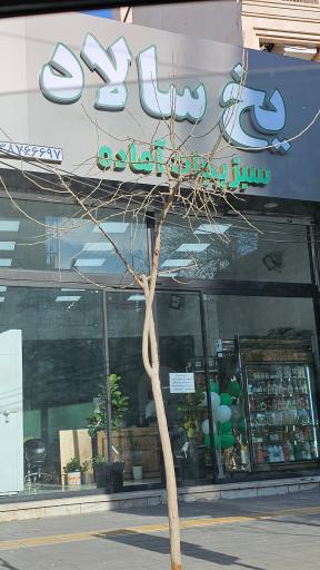 سبزیجات آماده یخ سالاد