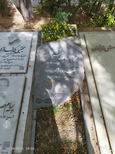 عکس مزار رضا داوود نژاد