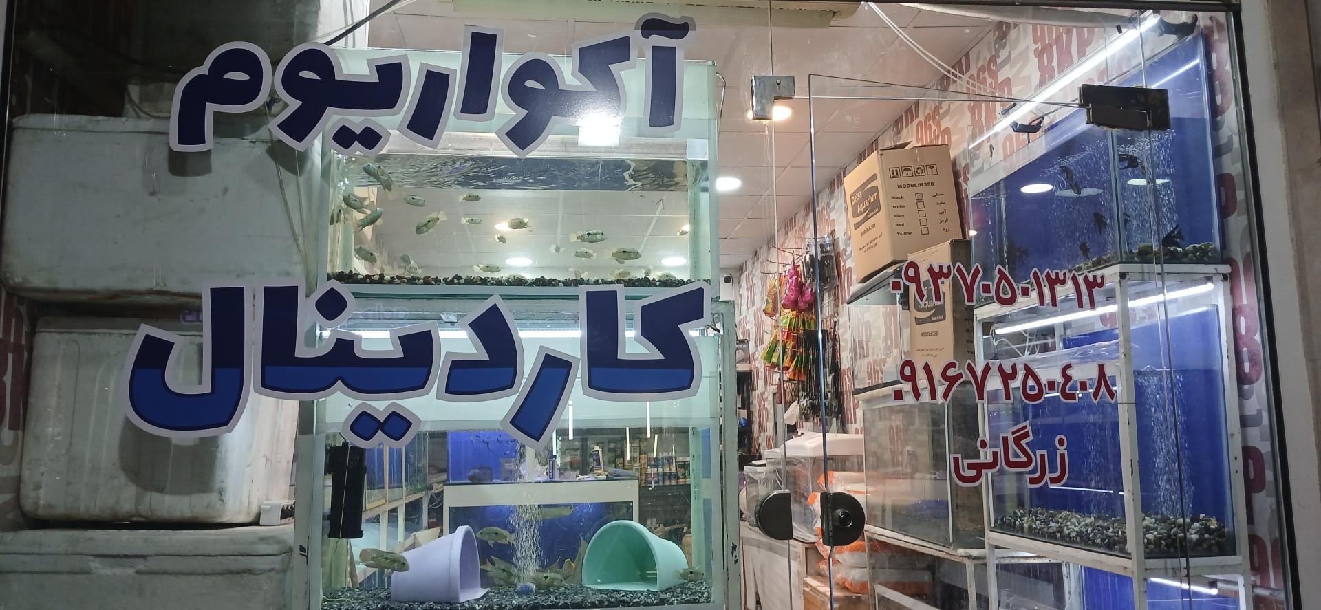 عکس فروشگاه آکواریوم کاردینال