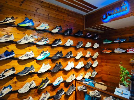 عکس کتونی شمس