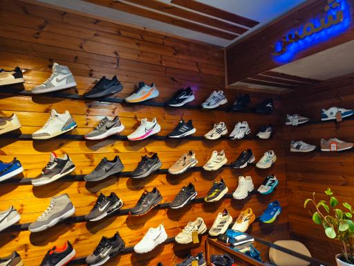 عکس کتونی شمس