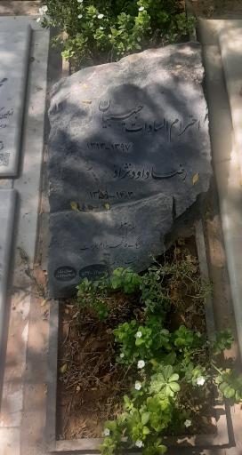 عکس مزار رضا داوود نژاد