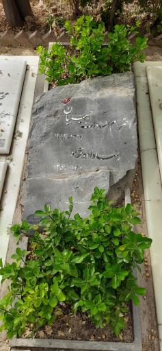 عکس مزار رضا داوود نژاد