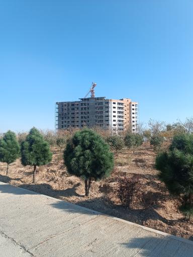 عکس پروژه صدف ناجا