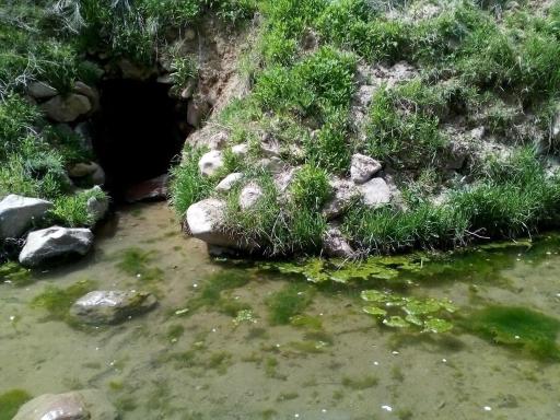 عکس چشمه حاج قنبر