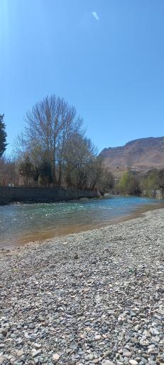 عکس سامان