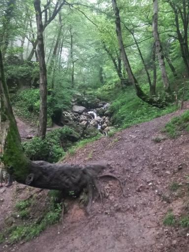 عکس آبشار رامینه