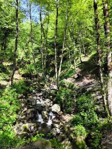 عکس آبشار رامینه