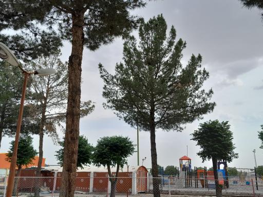 عکس شهربازی پارک شادی