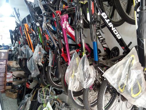 عکس تکروچرخ