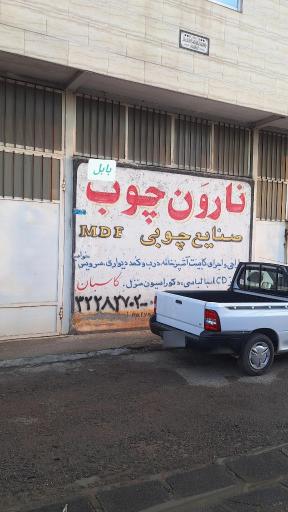 عکس نارون چوب کاسبان