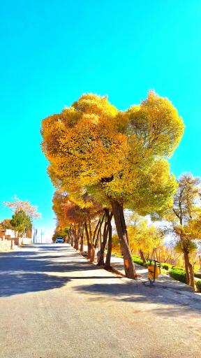 عکس پارک ملت