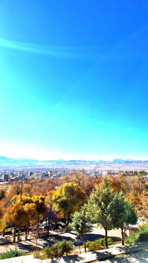 عکس پارک ملت