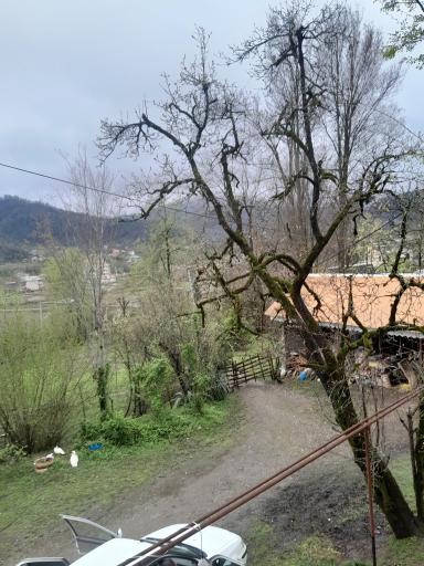 عکس ویلا هنگلی رحمان قنبری