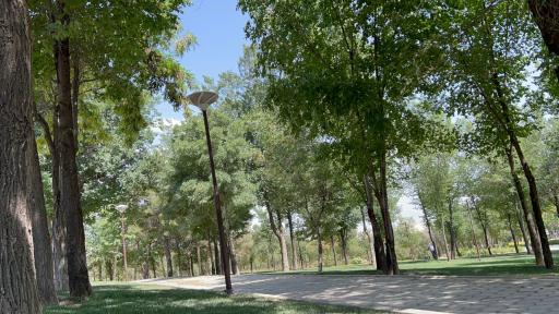 عکس پارک ملت