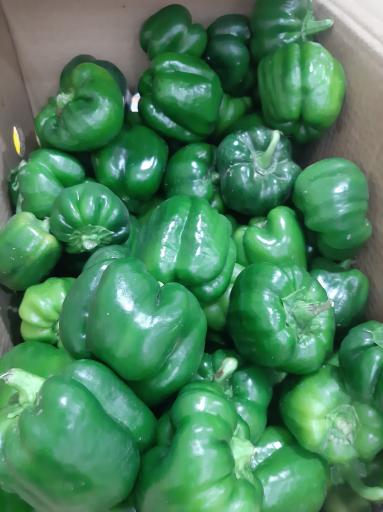 عکس سوپر میوه پاییز