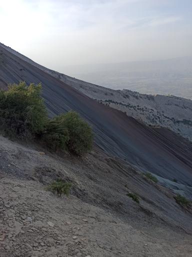 عکس سراب باغ