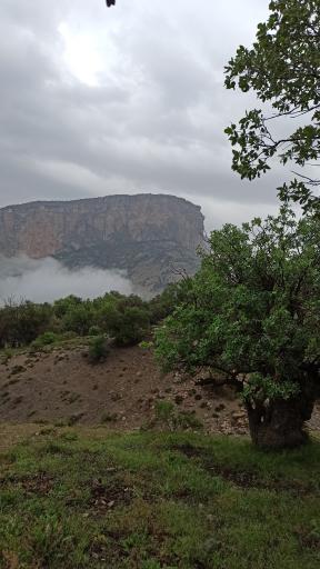 عکس سراب باغ