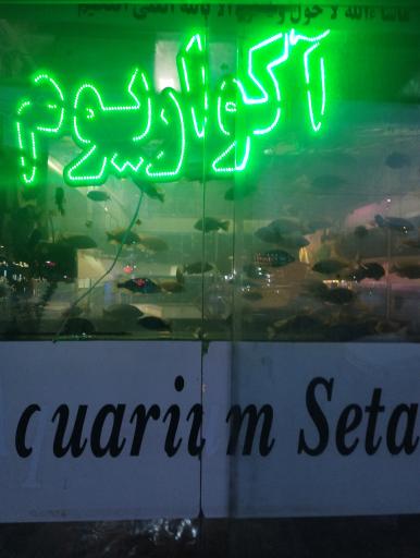 عکس آکواریم مشهد گوپی
