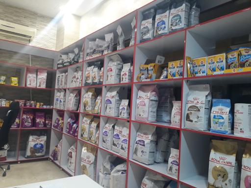 عکس پت شاپ مینگو