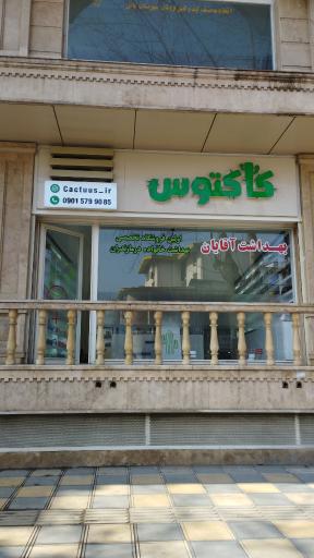 عکس محصولات بهداشتی کاکتوس بابل