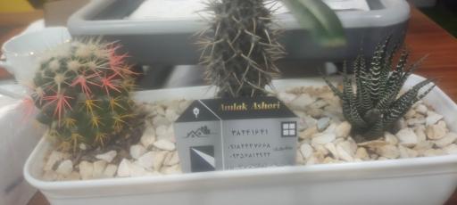 عکس املاک عاشوری