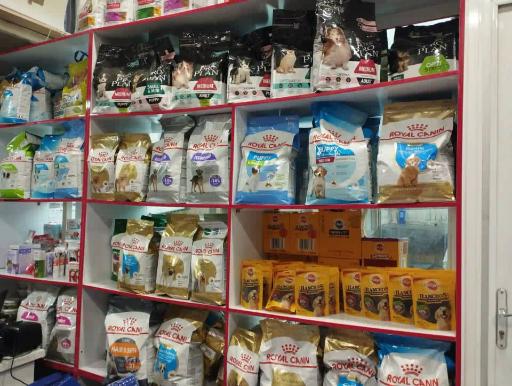 عکس پت شاپ مینگو