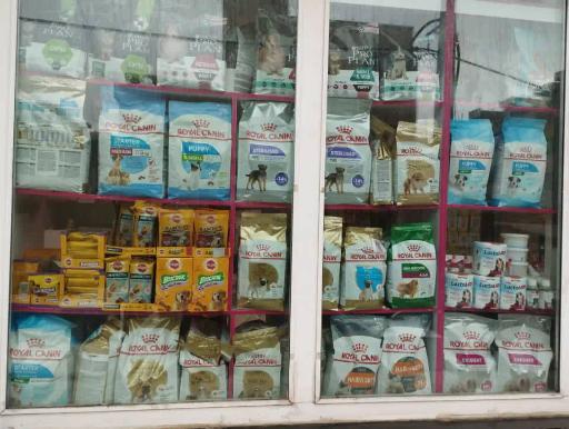 عکس پت شاپ مینگو