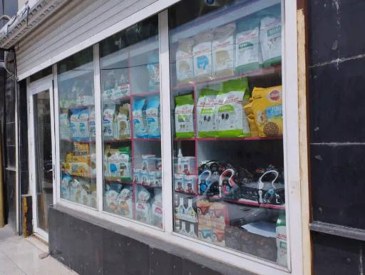 عکس پت شاپ مینگو