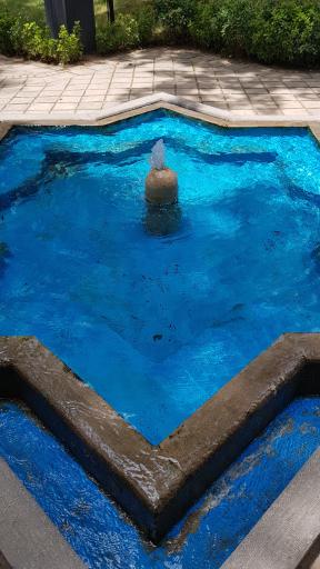 عکس انجمن شاعران ایران