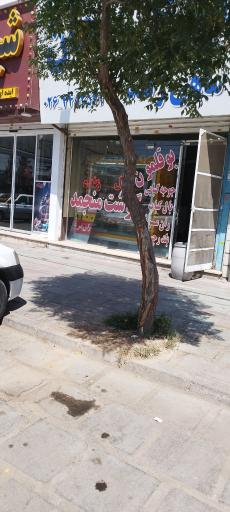 عکس مرغ زنجان