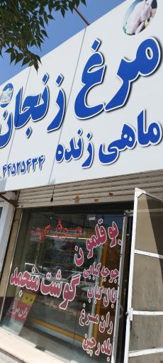 عکس مرغ زنجان