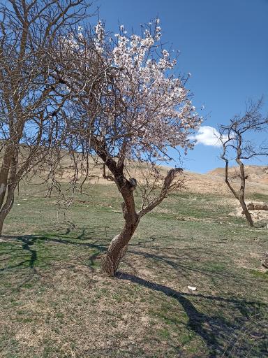 عکس آذربایجان شرقی