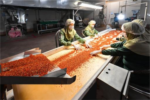 عکس شرکت صنایع غذایی ساحل برج