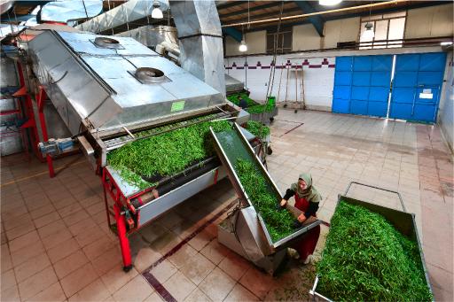 عکس شرکت صنایع غذایی ساحل برج