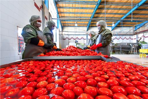 عکس شرکت صنایع غذایی ساحل برج