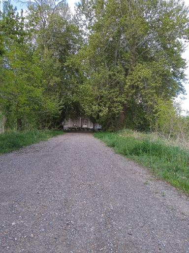 عکس فرهادگرد