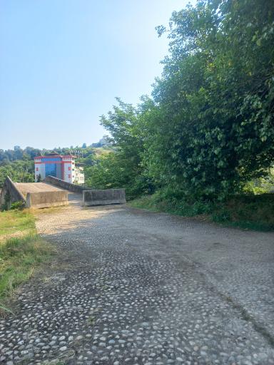 عکس پل شاهپور