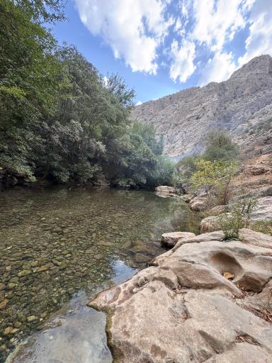 عکس پالنگان