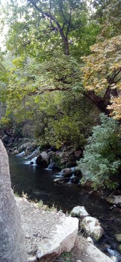 عکس پالنگان