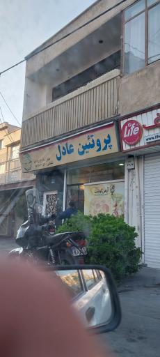 پروتئین عادل
