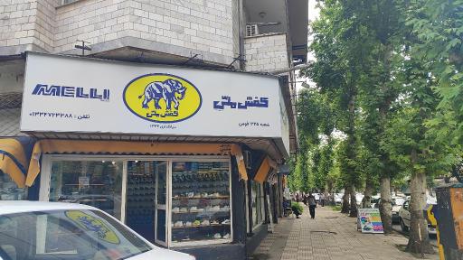 عکس کفش ملی شعبه فومن