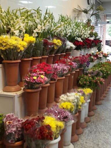 عکس گل دهقان