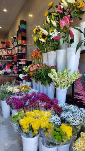 عکس گل دهقان