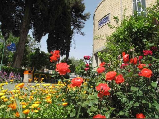 عکس هنرستان نمونه دولتی طالقانی