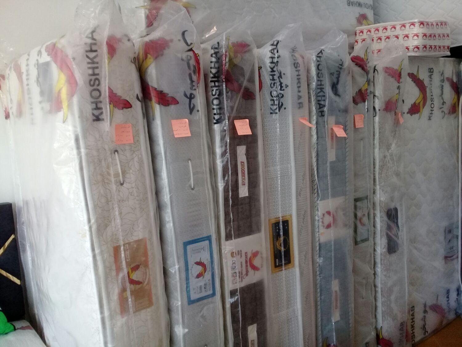 عکس تشک پر قو