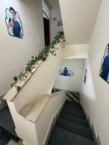 عکس باشگاه شطرنج شهمات رشت